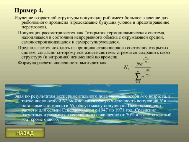 Пример 4. Изучение возрастной структуры популяции рыб имеет большое значение для рыболовного промысла (предсказание будущих уловов и предотвращение переуловов).  Популяция рассматривается как “открытая термодинамическая система, находящаяся в состоянии непрерывного обмена с окружающей средой, самовоспроизводящаяся и саморегулирующаяся.  Предполагается исходить из принципа стационарного состояния открытых систем, согласно которому все живые системы стремятся сохранить свою структуру (и энтропию) неизменной во времени.  Формула расчета численности выглядит как Зная по результатам экспериментального лова массу mi особи i -го возраста, а также число особей Ni , можно найти общую численность популяции N и остальные численности Nj , общую массу популяции. Были проведены расчеты для сельди Северного моря с 1947 по 1971 год. Сравнение расчетных и реальных значений дало совпадение от 70% и выше за каждый год, кроме одного. 