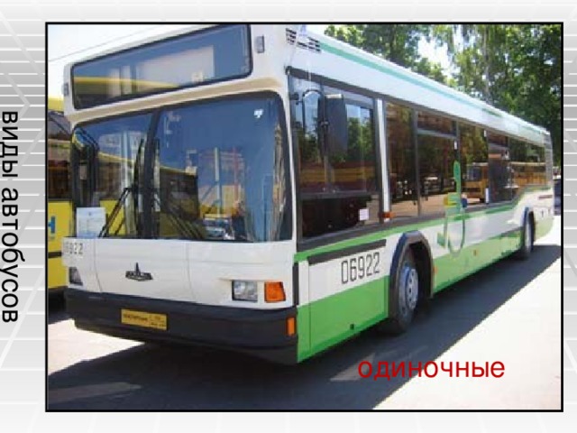 виды автобусов одиночные 