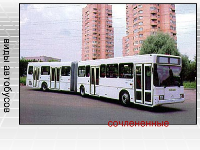 виды автобусов сочлененные 