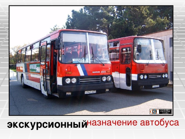 назначение автобуса экскурсионный 