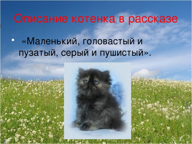 Описание котенка в рассказе