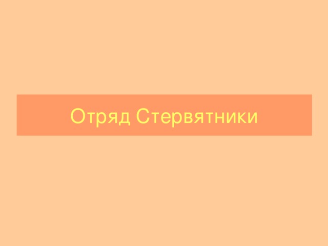Отряд Стервятники 