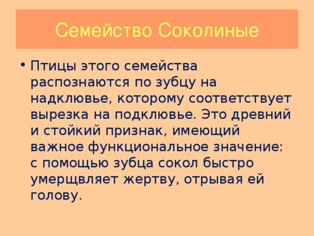 Семейство Соколиные Птицы этого семейства распознаются по зубцу на надклювье, которому соответствует вырезка на подклювье. Это древний и стойкий признак, имеющий важное функциональное значение: с помощью зубца сокол быстро умерщвляет жертву, отрывая ей голову. 