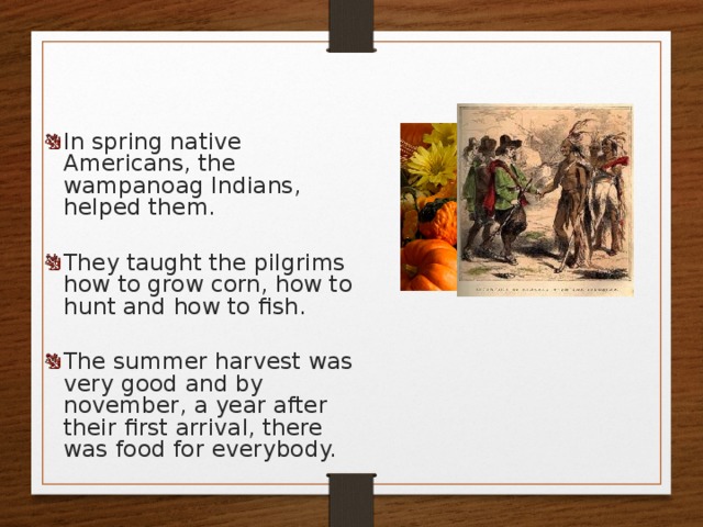 In spring native Americans, the wampanoag Indians, helped them. They taught the pilgrims how to grow corn, how to hunt and how to fish. The summer harvest was very good and by november, a year after their first arrival, there was food for everybody. 