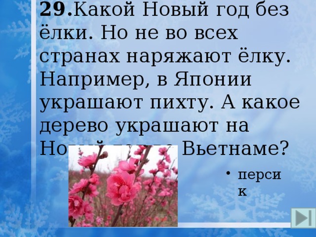 29. Какой Новый год без ёлки. Но не во всех странах наряжают ёлку. Например, в Японии украшают пихту. А какое дерево украшают на Новый год во Вьетнаме? персик 