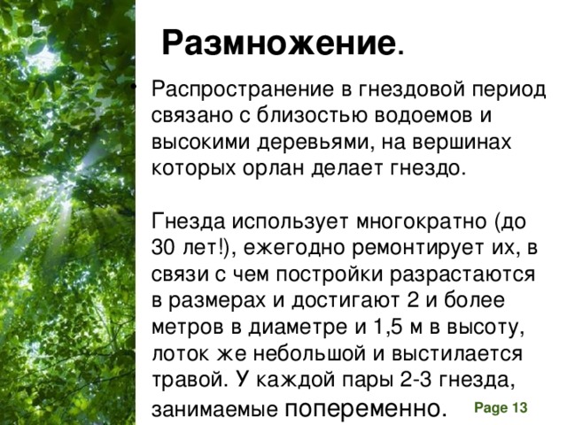 Размножение . Распространение в гнездовой период связано с близостью водоемов и высокими деревьями, на вершинах которых орлан делает гнездо.    Гнезда использует многократно (до 30 лет!), ежегодно ремонтирует их, в связи с чем постройки разрастаются в размерах и достигают 2 и более метров в диаметре и 1,5 м в высоту, лоток же небольшой и выстилается травой. У каждой пары 2-3 гнезда, занимаемые попеременно. 