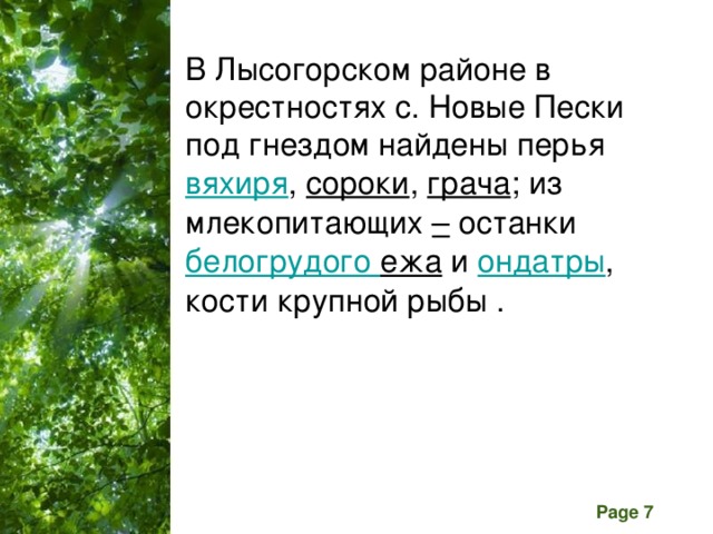 В Лысогорском районе в окрестностях с. Новые Пески под гнездом найдены перья  вяхиря ,  сороки ,  грача ; из млекопитающих – останки белогрудого ежа  и  ондатры , кости крупной рыбы .   