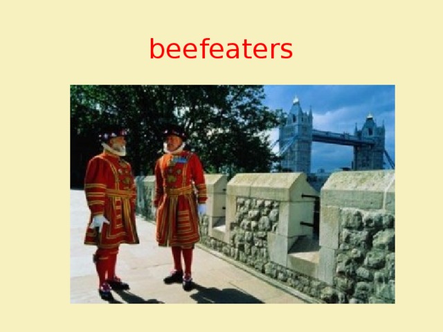 beefeaters 