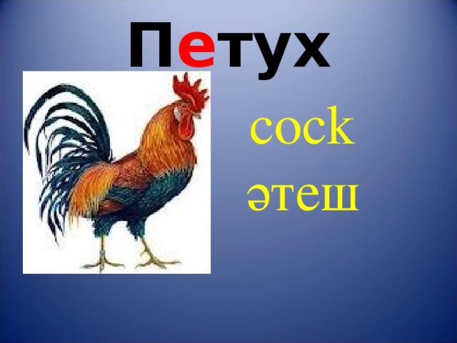 П е тух с ock әтеш 