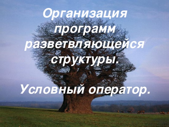 что такое сравнение в информатике. Смотреть фото что такое сравнение в информатике. Смотреть картинку что такое сравнение в информатике. Картинка про что такое сравнение в информатике. Фото что такое сравнение в информатике