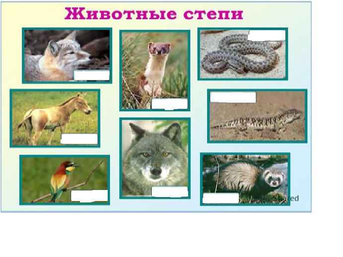 Животные зоны степей 4 класс