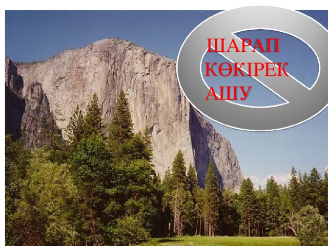  ШАРАП КӨКІРЕК АШУ 