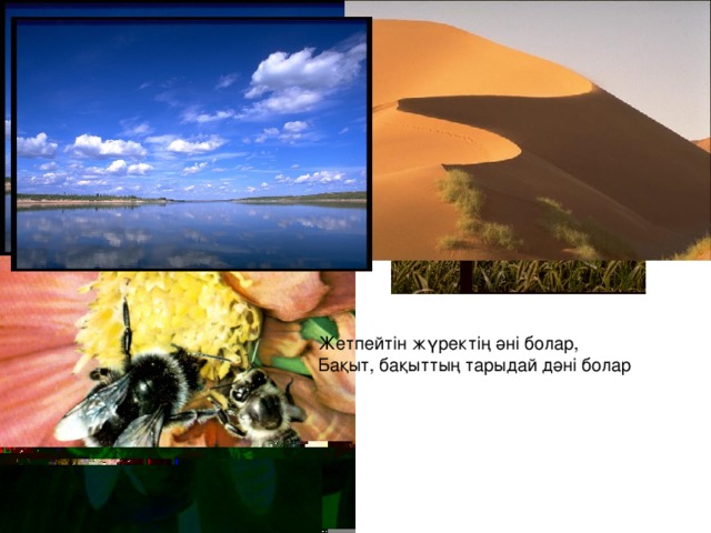 Жетпейтін жүректің әні болар,  Бақыт, бақыттың тарыдай дәні болар 