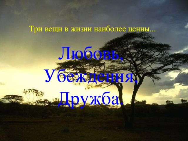 Три вещи в жизни наиболее ценны... Любовь,  Убеждения,  Дружба. 