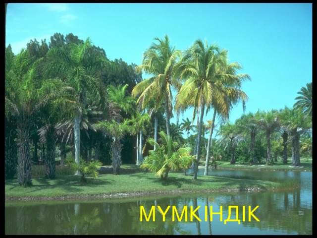 МҮМКІНДІК 