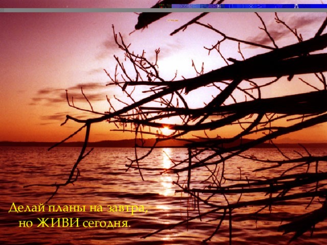 Делай планы на завтра, но ЖИВИ сегодня .  