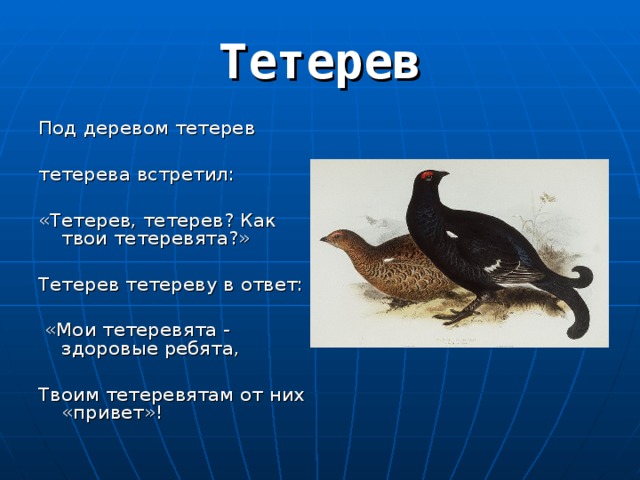 Под деревом тетерев тетерева встретил: «Тетерев, тетерев? Как твои тетеревята?» Тетерев тетереву в ответ:  «Мои тетеревята - здоровые ребята, Твоим тетеревятам от них «привет»! 