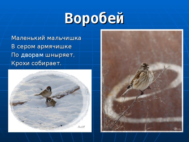 Маленький мальчишка В сером армячишке По дворам шныряет, Крохи собирает. 