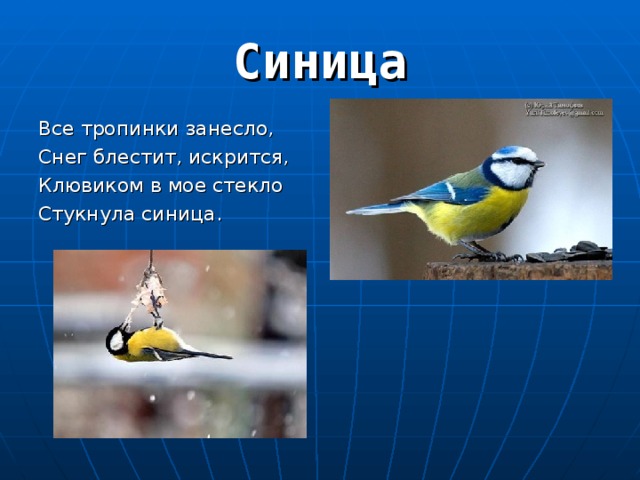 Все тропинки занесло, Снег блестит, искрится, Клювиком в мое стекло Стукнула синица. 