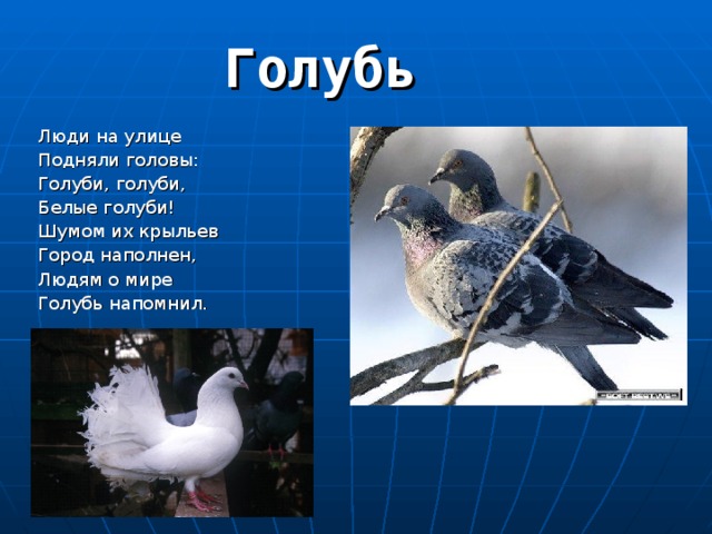 Люди на улице Подняли головы: Голуби, голуби, Белые голуби! Шумом их крыльев Город наполнен, Людям о мире Голубь напомнил. 