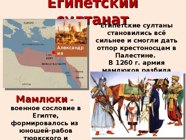 Египетский султанат Египетские султаны становились всё сильнее и смогли дать отпор крестоносцам в Палестине. В 1260 г. армия мамлюков разбила монгольское войско. Александрия Мамлюки –  военное сословие в Египте, формировалось из юношей-рабов тюркского и кавказского происхождения. 