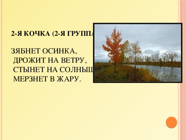  2-я кочка (2-я группа)   Зябнет осинка,  Дрожит на ветру,  Стынет на солнышке,  Мерзнет в жару.      