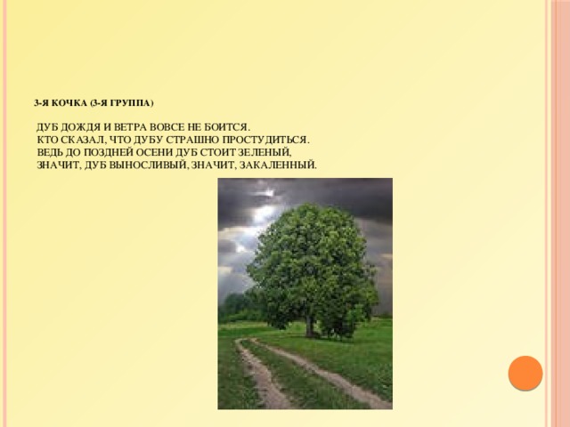 3-я кочка (3-я группа)     Дуб дождя и ветра вовсе не боится.  Кто сказал, что дубу страшно простудиться.  Ведь до поздней осени дуб стоит зеленый,  Значит, дуб выносливый, значит, закаленный.   