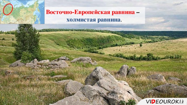 Восточно-Европейская равнина –  холмистая равнина . 11 