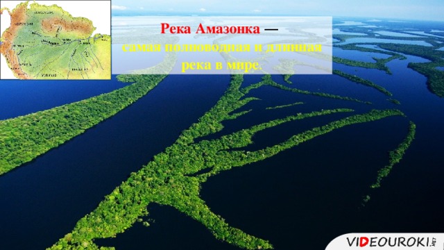 Как режим реки амазонка зависит от климата. Режим реки Амазонка. Вопросы про реку амазонку. Режим реки по временам года Амазонка. Рельеф дна амазонки.