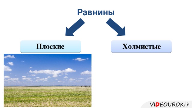 Равнины  Плоские Холмистые 