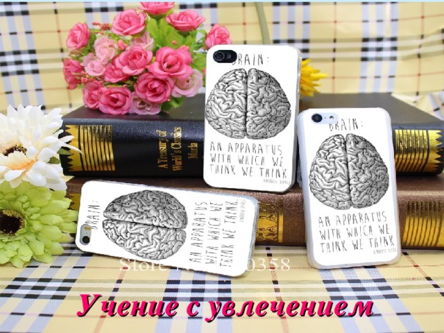    Учение с увлечением 