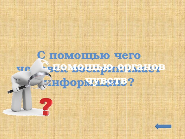 С помощью чего человек воспринимает информацию? С помощью органов чувств 