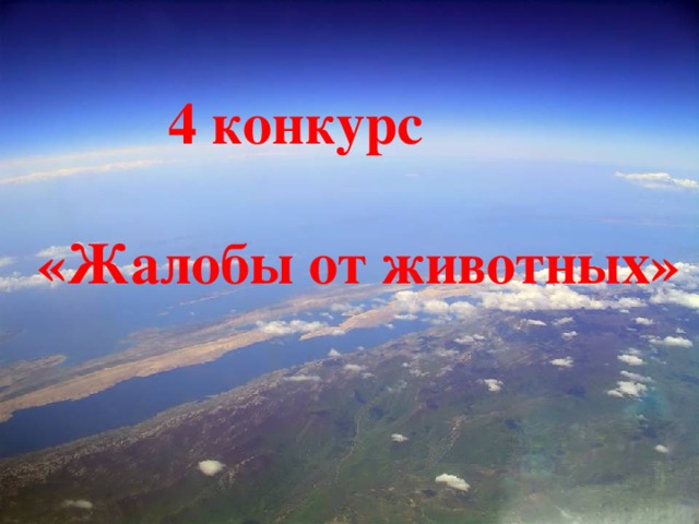  4 конкурс  «Жалобы от животных»  