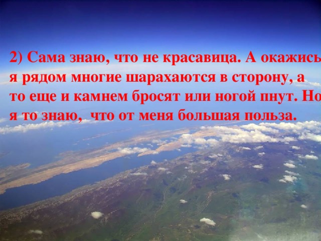  2) Сама знаю, что не красавица. А окажись я рядом многие шарахаются в сторону, а то еще и камнем бросят или ногой пнут. Но я то знаю, что от меня большая польза. 