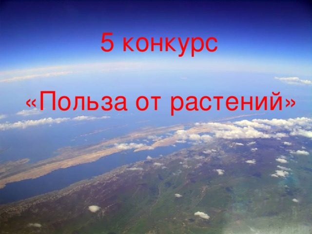 5 конкурс «Польза от растений»  