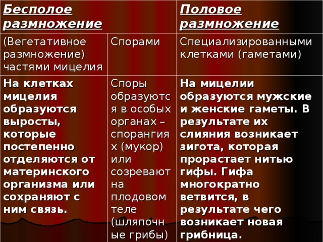 Бесполое размножение (Вегетативное размножение) частями мицелия Половое размножение Спорами На клетках мицелия образуются выросты, которые постепенно отделяются от материнского организма или сохраняют с ним связь. Специализированными клетками (гаметами) Споры образуются в особых органах – спорангиях (мукор) или созревают на плодовом теле (шляпочные грибы) На мицелии образуются мужские и женские гаметы. В результате их слияния возникает зигота, которая прорастает нитью гифы. Гифа многократно ветвится, в результате чего возникает новая грибница. 