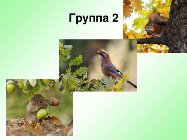 Группа 2 