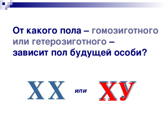 От какого пола – гомозиготного или гетерозиготного – зависит пол будущей особи? или 