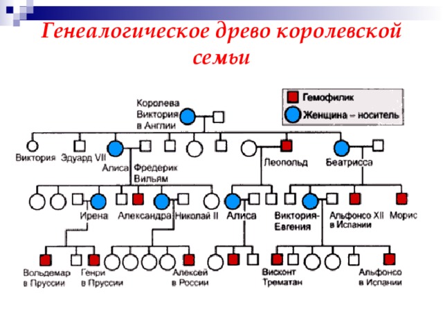 Генеалогическое древо королевской семьи   