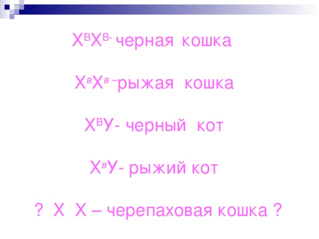 Х В Х В- черная  кошка Х в Х в – рыжая кошка Х В У- черный кот Х в У- рыжий кот  ? Х Х – черепаховая кошка ? 