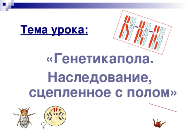 Тема урока: «Генетикапола. Наследование, сцепленное с полом» 