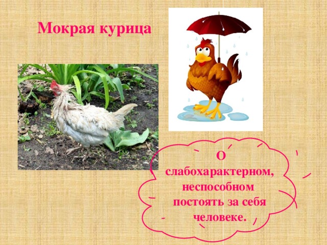 Куры значение