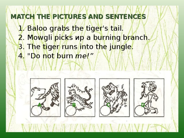 MATCH THE PICTURES AND SENTENCES 1. Baloo grabs the tiger's tail. 2. Mowgli picks ир а burning branch. 3. The tiger runs into the jungle. 4. 