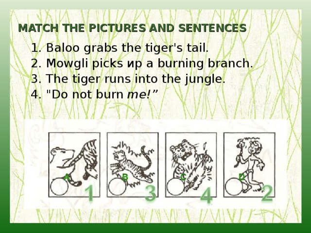 MATCH THE PICTURES AND SENTENCES 1. Baloo grabs the tiger's tail. 2. Mowgli picks ир а burning branch. 3. The tiger runs into the jungle. 4. 