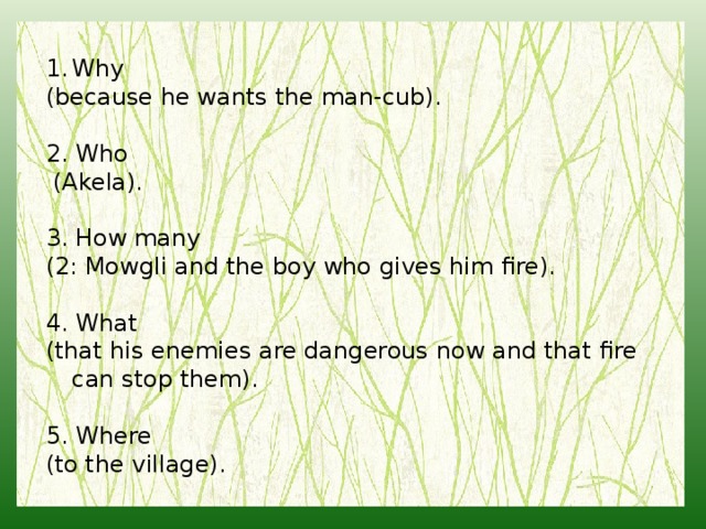 Why (because he wants the man-cub). 2. Who  (Akela). 3. How many (2: Mowgli and the boy who gives him fire). 4. What (that his enemies are dangerous now and that fire can stop them). 5. Where (to the village). 
