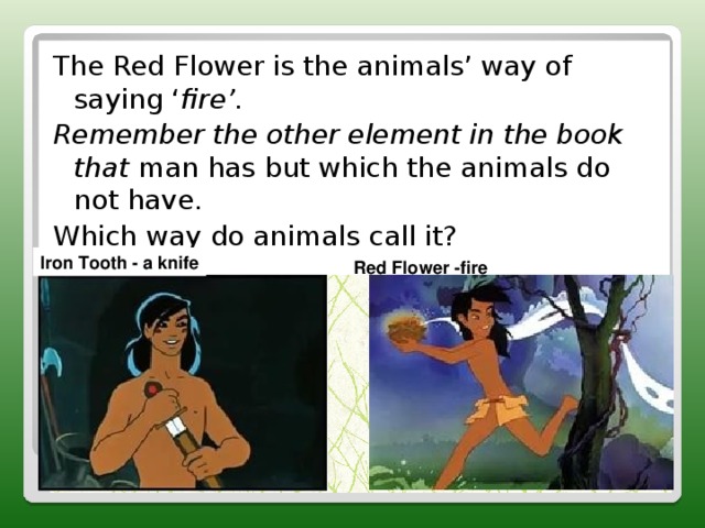 The Red Flower is the animals’ way of saying ‘ fire’. Remember the other element in the book that man has but which the animals do not have. Which way do animals call it? Iron Tooth - a knife Red Flower -fire  