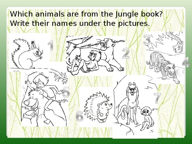 Which animals are from the Jungle book? Write their names under the  pictures. 