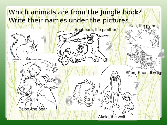 Which animals are from the Jungle book? Write their names under the  pictures. Каа, the python. Bagheera, the panther Shere Khan, the tiger Baloo, the bear Akela, the wolf 