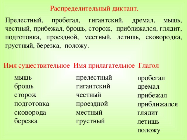 Диктант части речи. Распределительный диктант. Мышь прилагательное. Существительное и прилагательное распределительный диктант. Существительное мышь прилагательное.