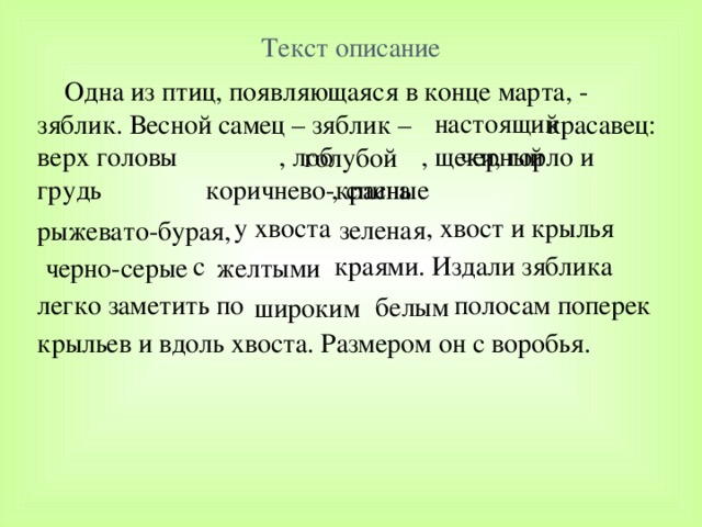 Текст описание птиц. Текст описание. Небольшой текст описание. Слова для описания. Готовый текст описание.